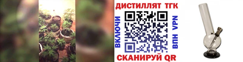 Купить закладки  Яблоновский  ТГК жижа 